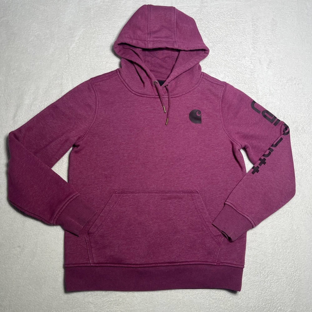 Carhartt Women's Clarksburg Graphic Sleeve Pullover Hoodie Sweatshirt Small 4-6 - Picture 1 of 8